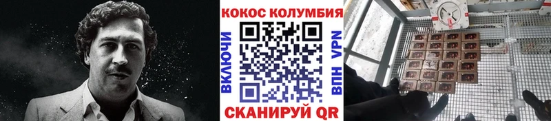 Кокаин Боливия  Власиха 