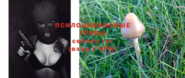 apvp Нея
